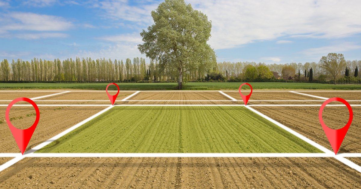 500 متر بحي الرميلات