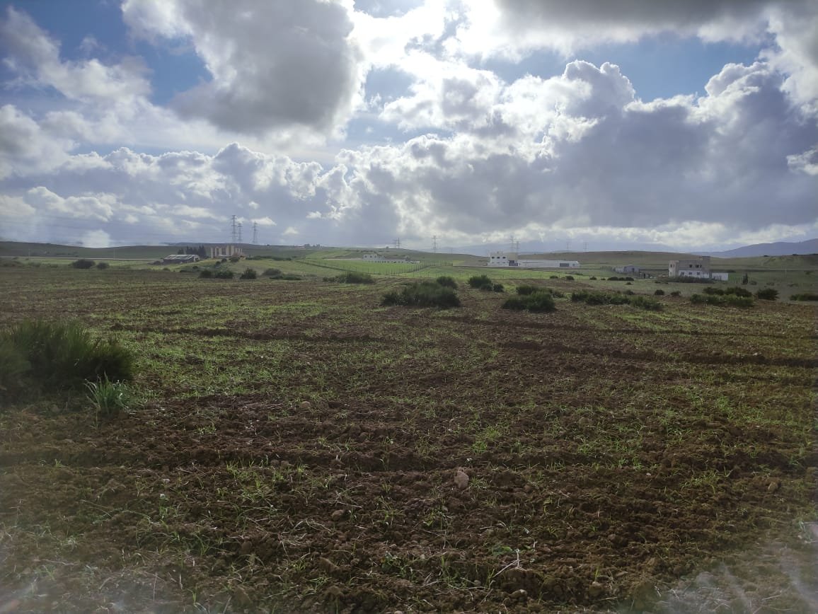 أرض من 3.5 هكتارات بحكامة